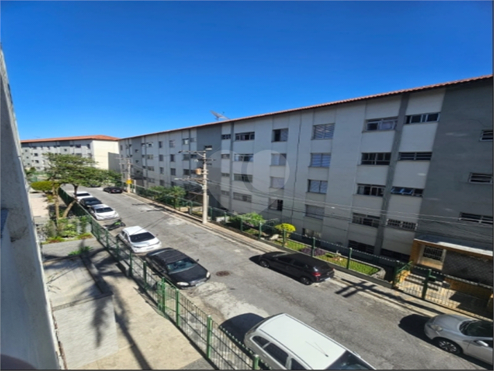 Foto REO1106282