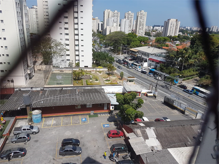 Foto REO1106335