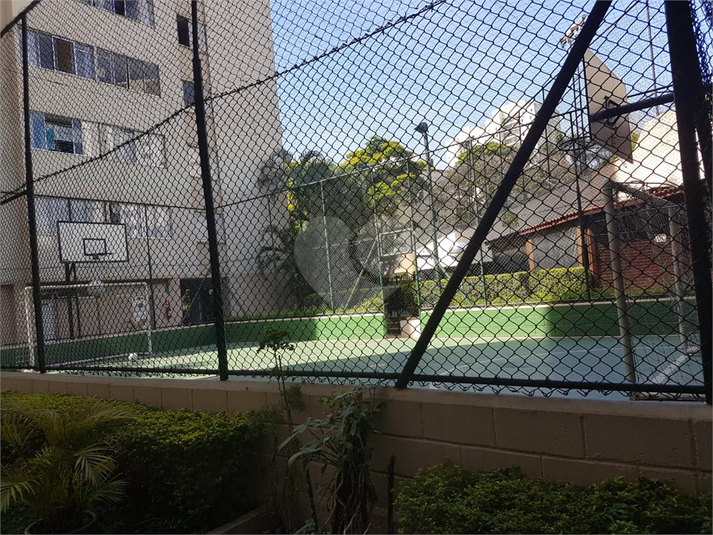 Foto REO1106335