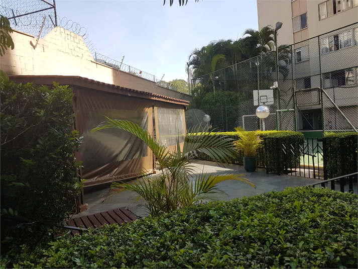 Foto REO1106335
