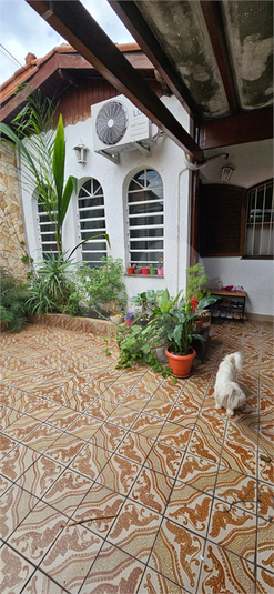 Foto REO1106336