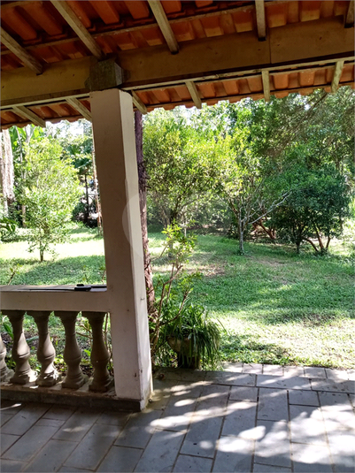 Foto REO1106342