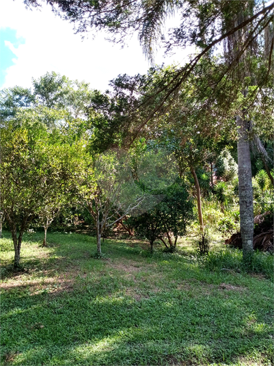Foto REO1106342