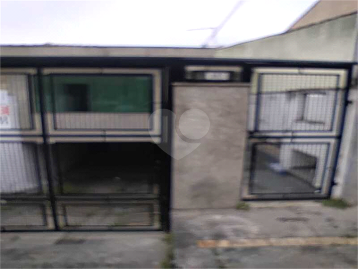 Foto REO1106347