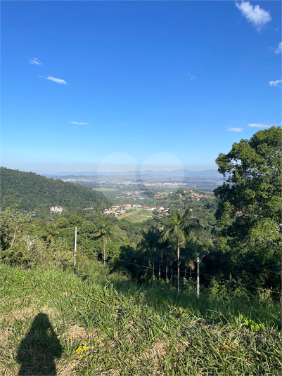 Foto REO1106360