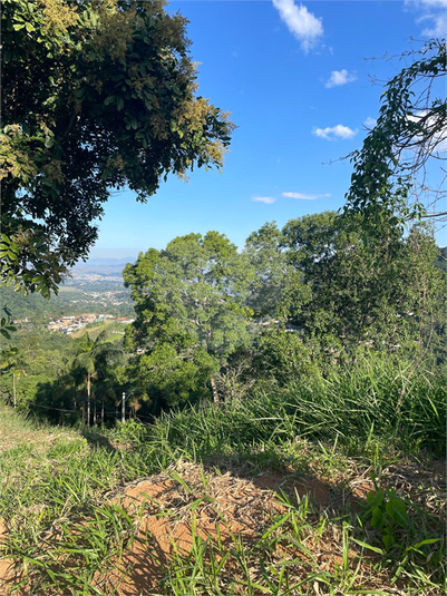 Foto REO1106360