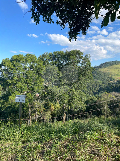 Foto REO1106360