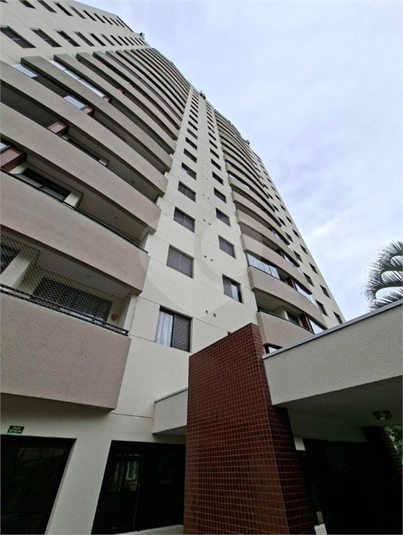 Foto REO1106365