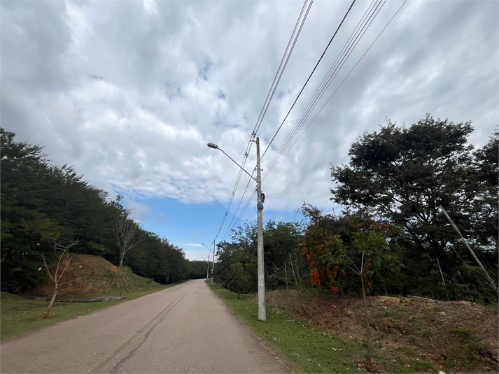 Foto REO1106369