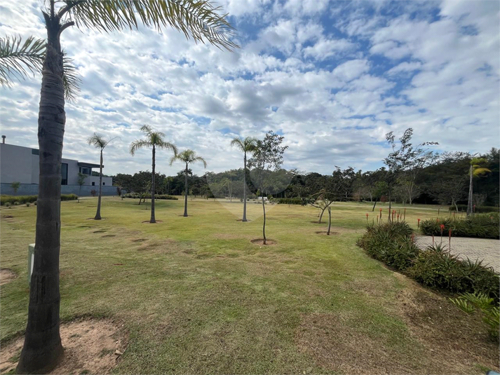 Foto REO1106369