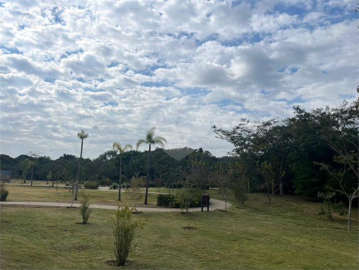 Foto REO1106369