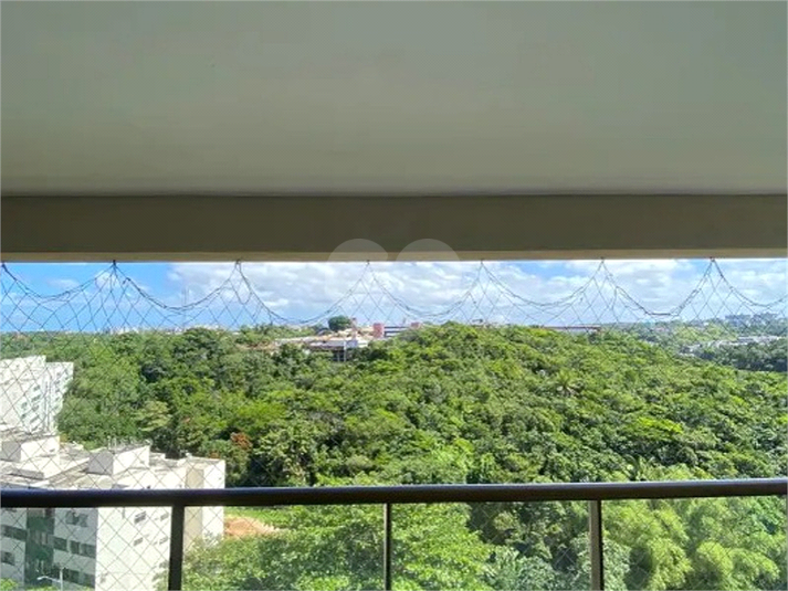 Foto REO1106372
