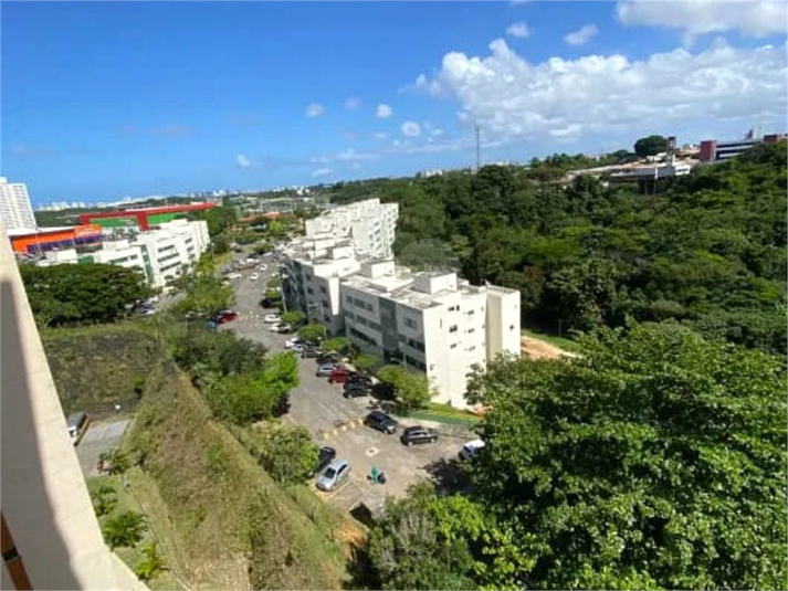 Foto REO1106372