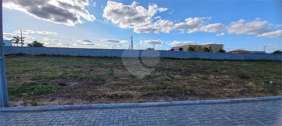 Foto REO1106374