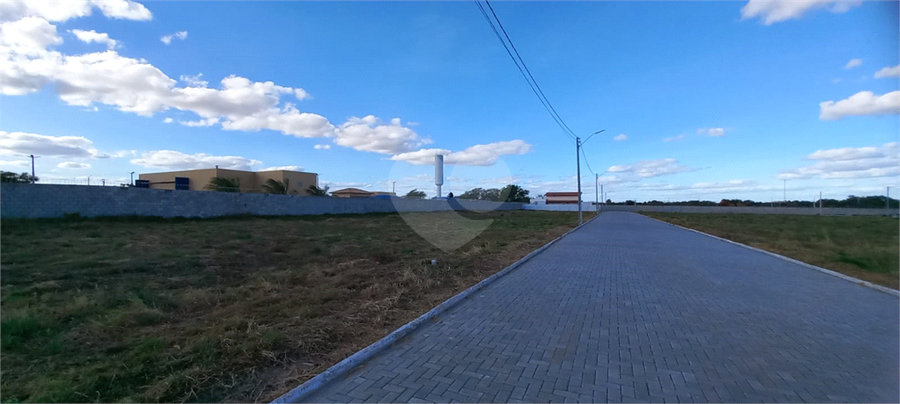 Foto REO1106374