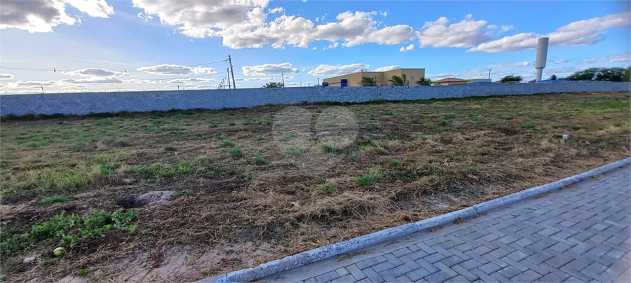 Foto REO1106374