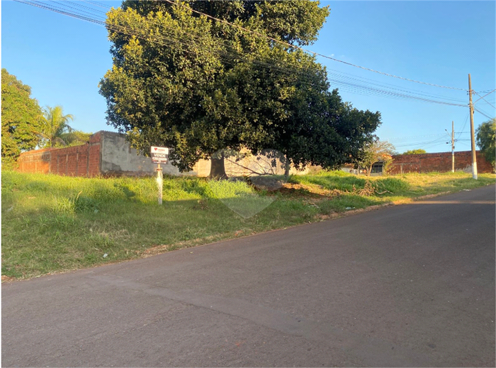 Foto REO1106377