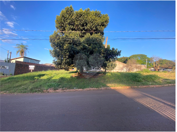 Foto REO1106377