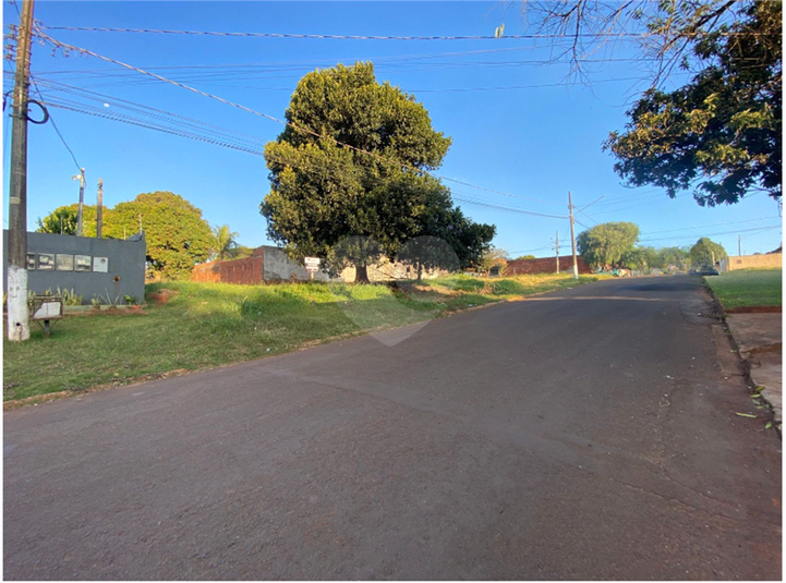 Foto REO1106377