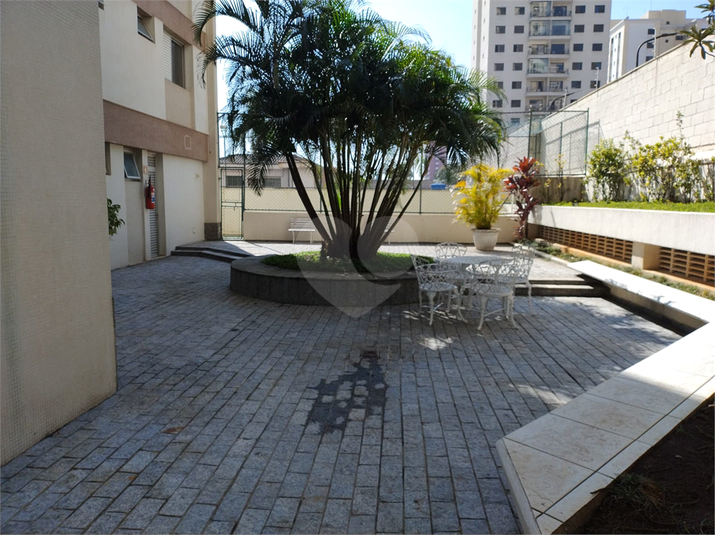 Foto REO1106379