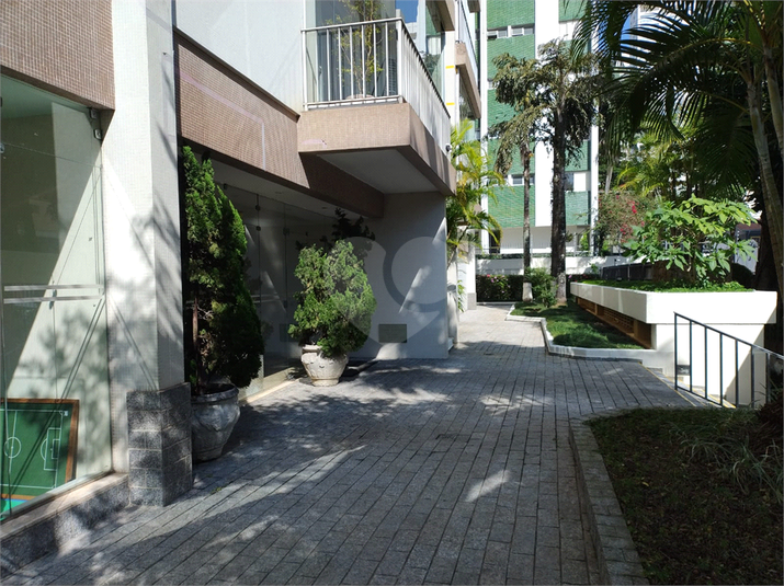 Foto REO1106379