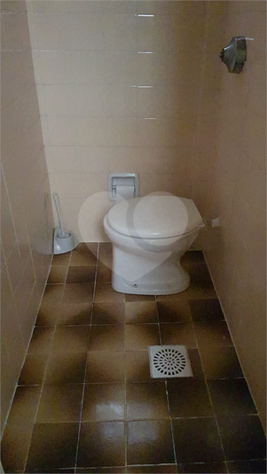 Foto REO1106382