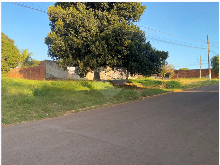 Foto REO1106394