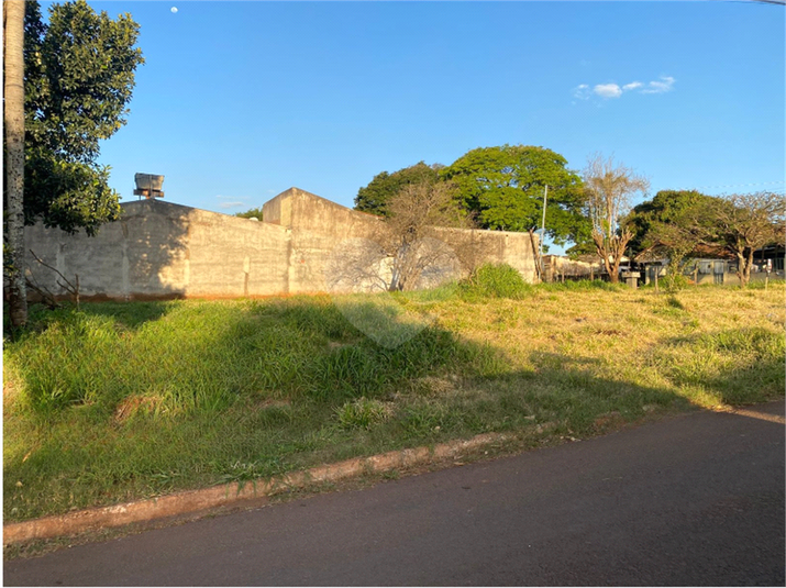 Foto REO1106394