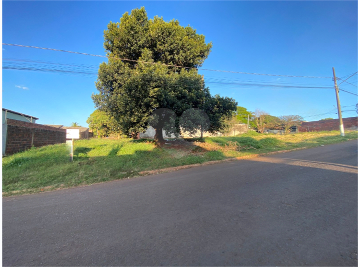 Foto REO1106394