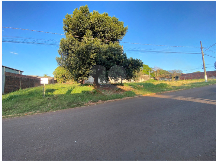 Foto REO1106394