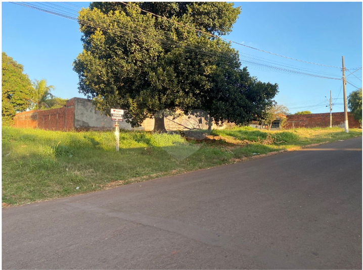 Foto REO1106394