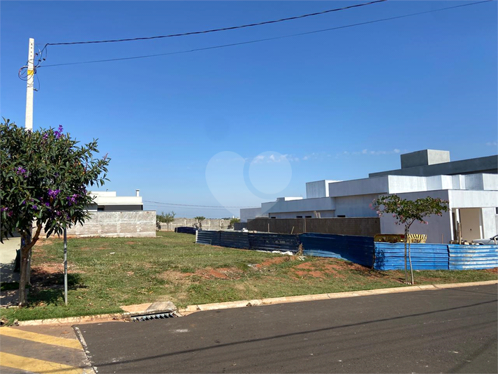 Foto REO1106421