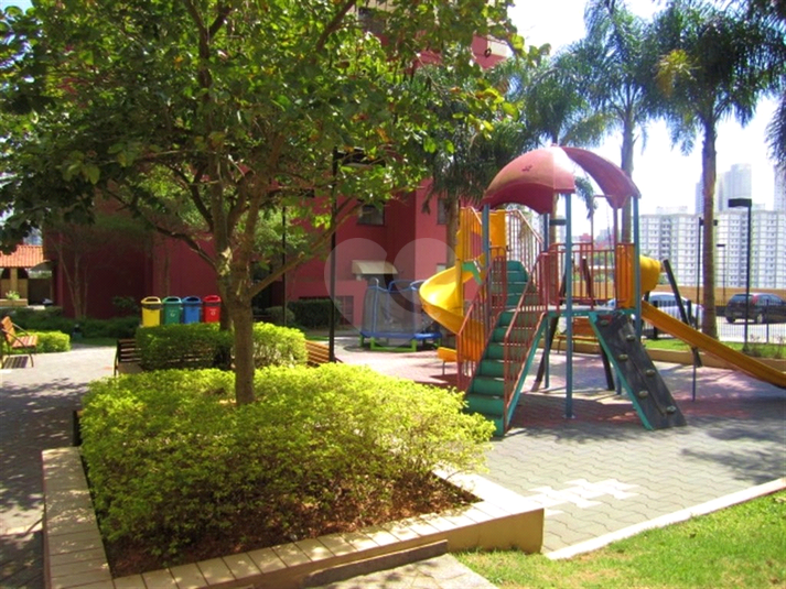 Foto REO1106442
