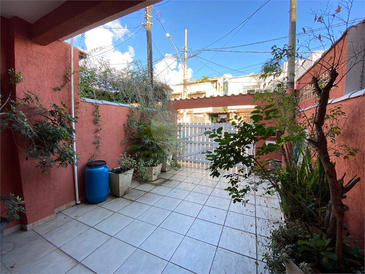 Foto REO1106449