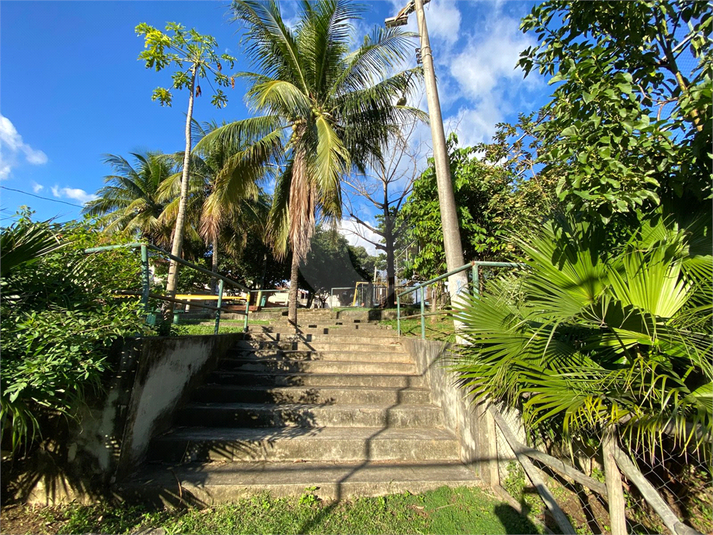 Foto REO1106449