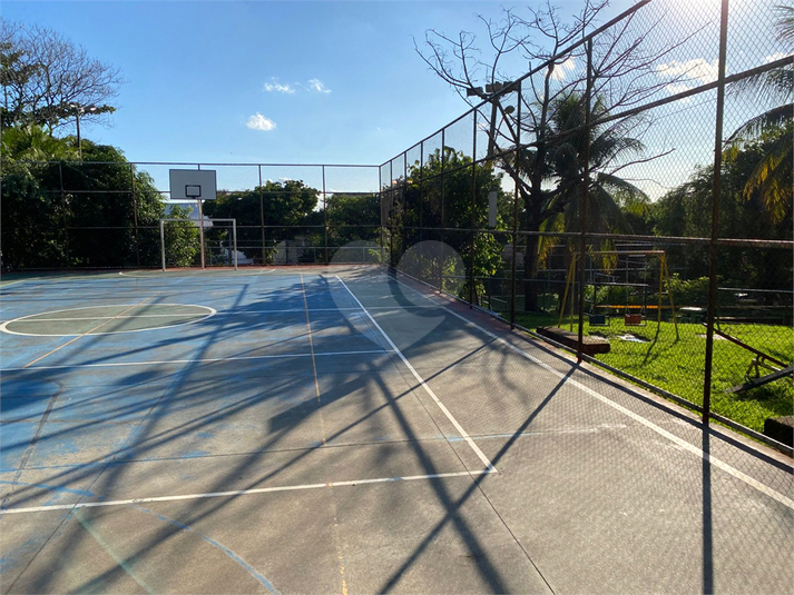 Foto REO1106449