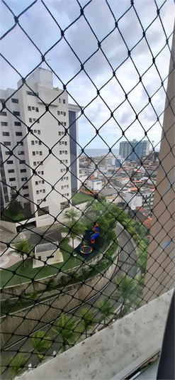 Foto REO1106452