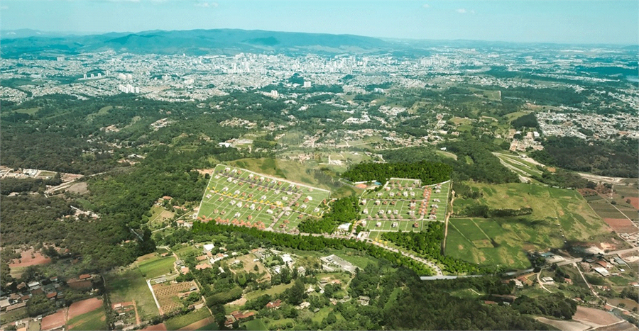 Foto REO1106454