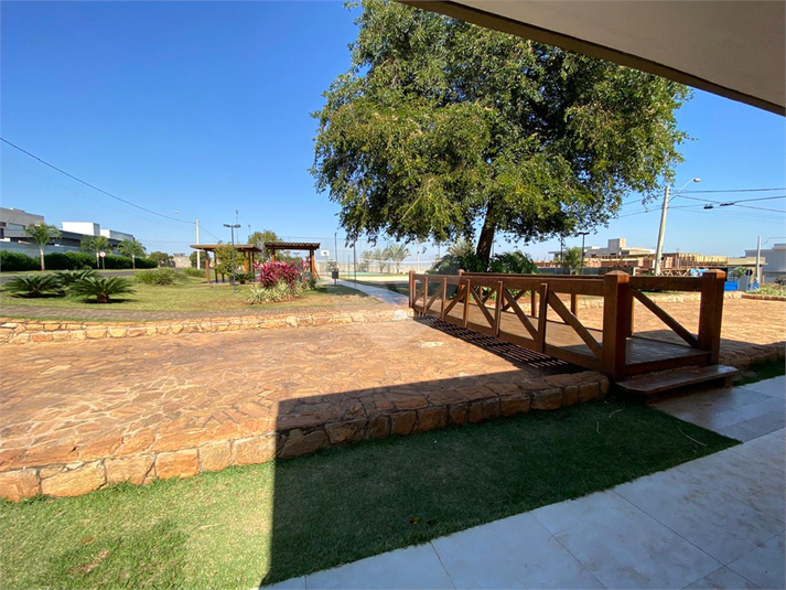 Foto REO1106457