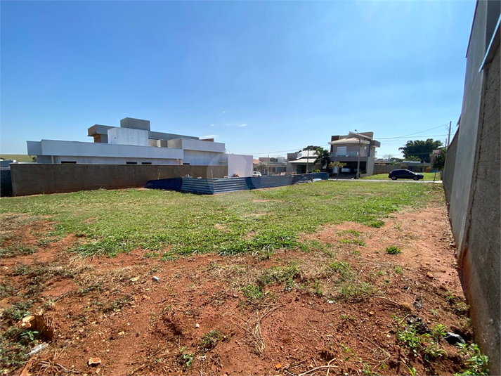 Foto REO1106457