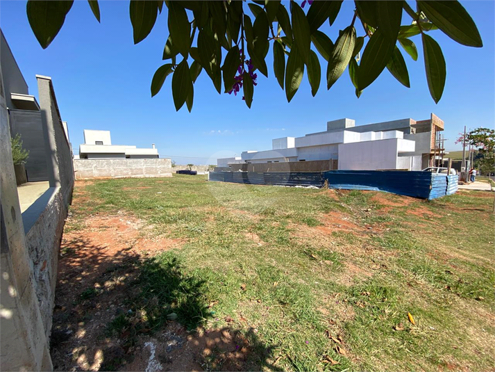 Foto REO1106457