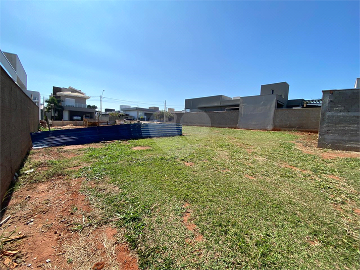 Foto REO1106457