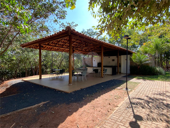 Foto REO1106457