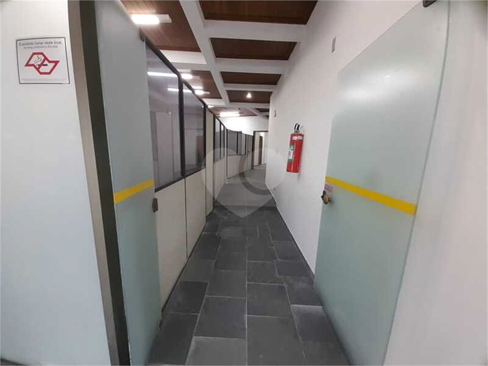 Foto REO1106466