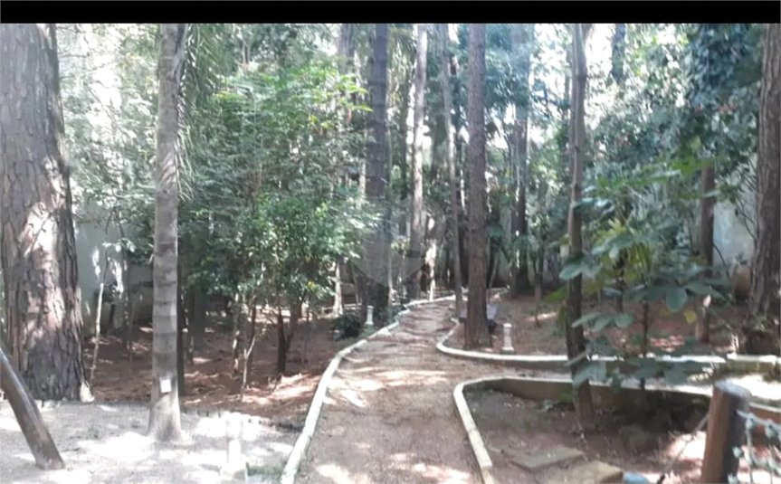 Foto REO1106468