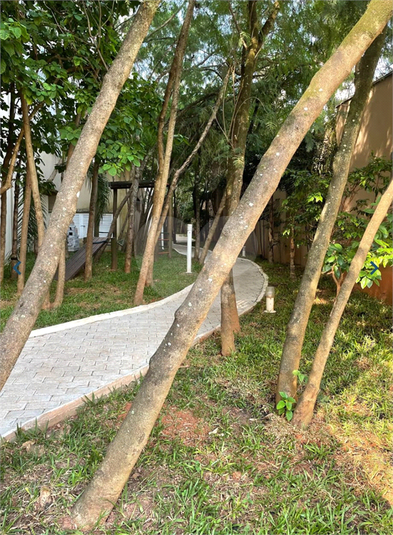 Foto REO1106468