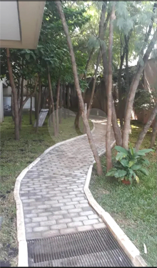 Foto REO1106468