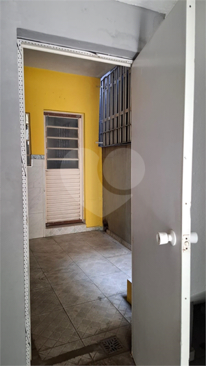 Foto REO1106474