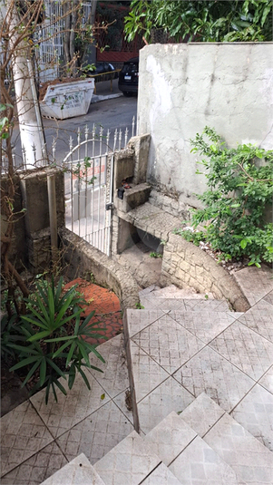 Foto REO1106474