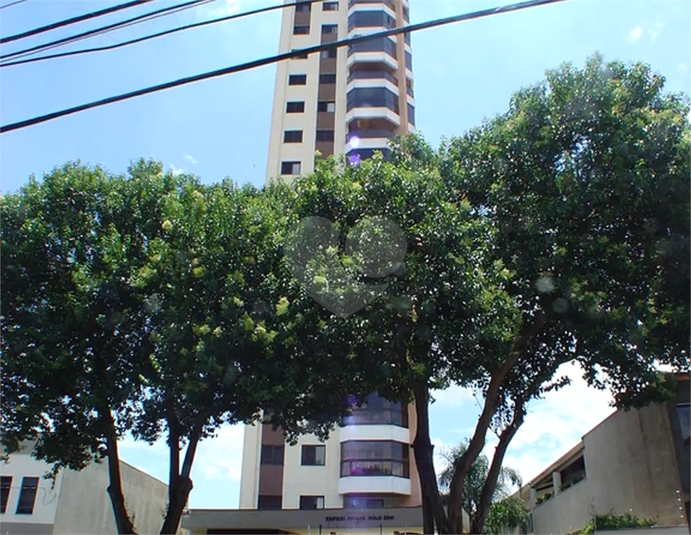 Foto REO1106482